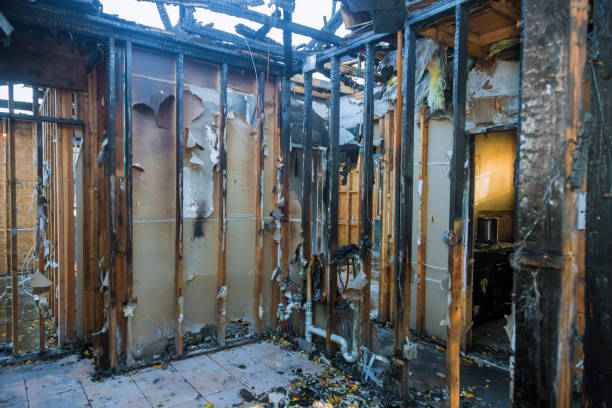 Professional Odor Removal technician working in Kempner, TX